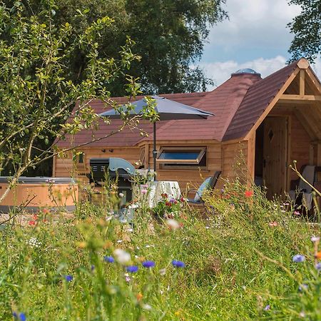 Villa Dol Y Mynydd The Mountain Meadow-Qu7521 Llangerniew Exterior foto
