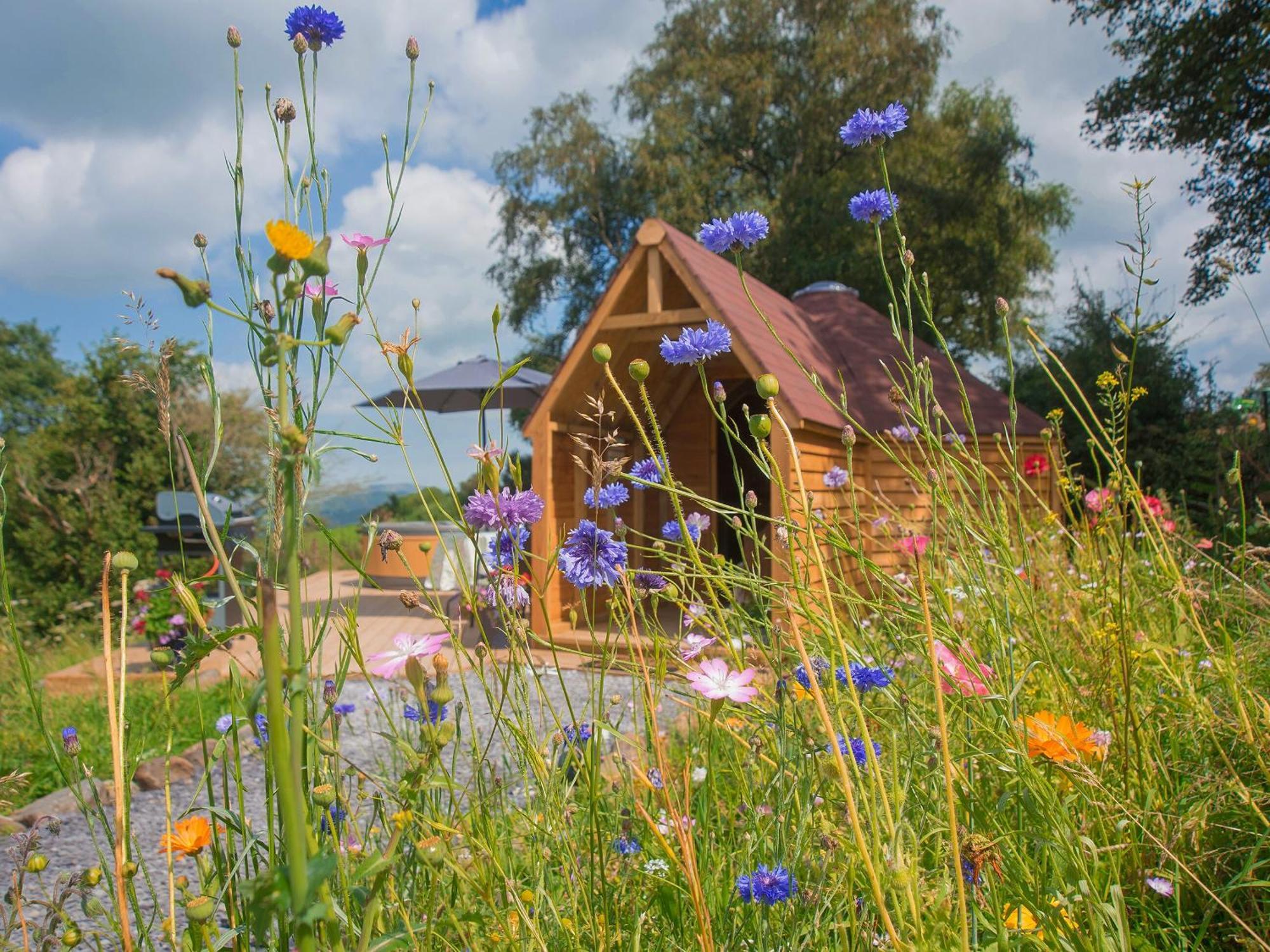 Villa Dol Y Mynydd The Mountain Meadow-Qu7521 Llangerniew Exterior foto