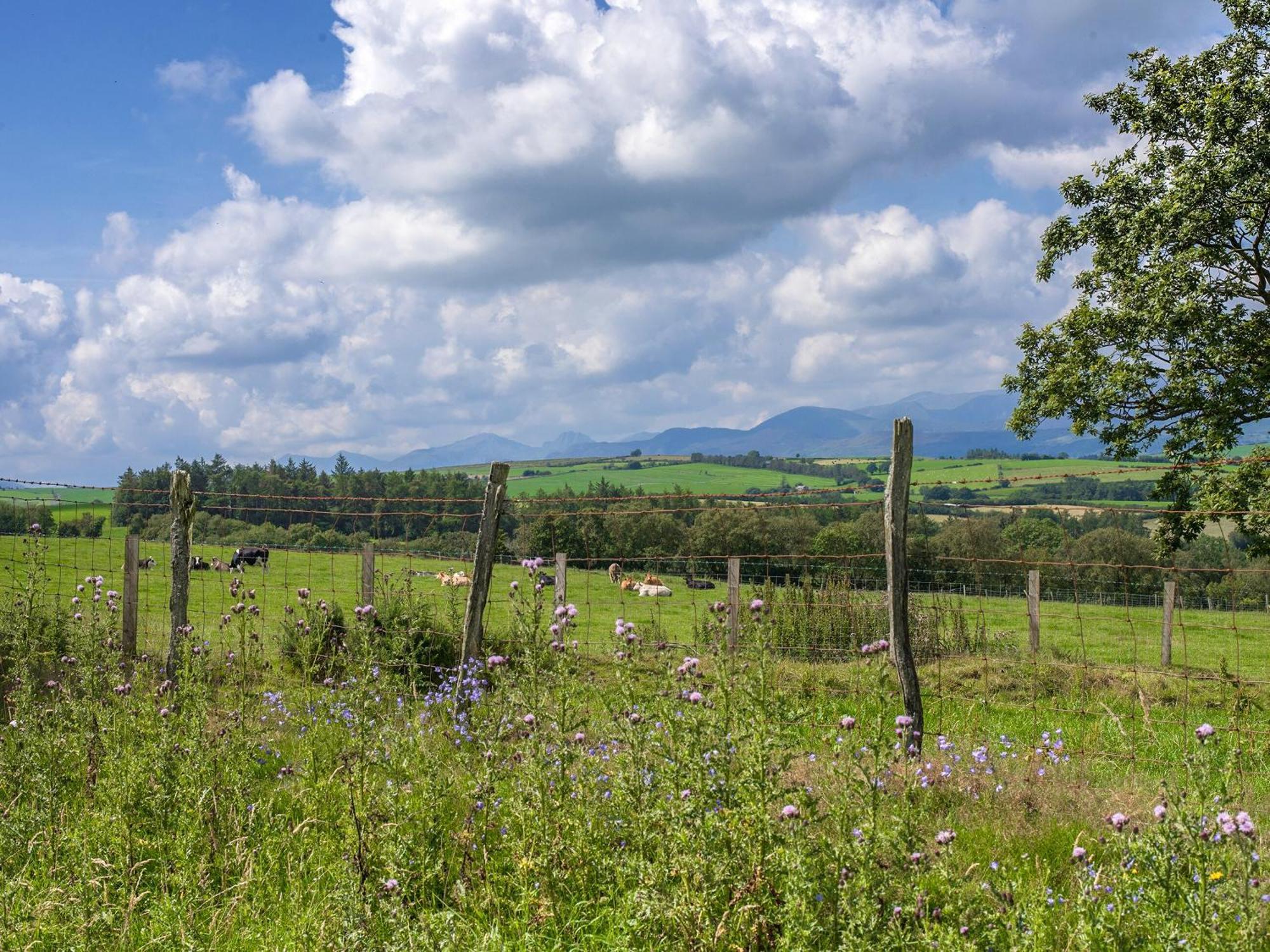 Villa Dol Y Mynydd The Mountain Meadow-Qu7521 Llangerniew Exterior foto