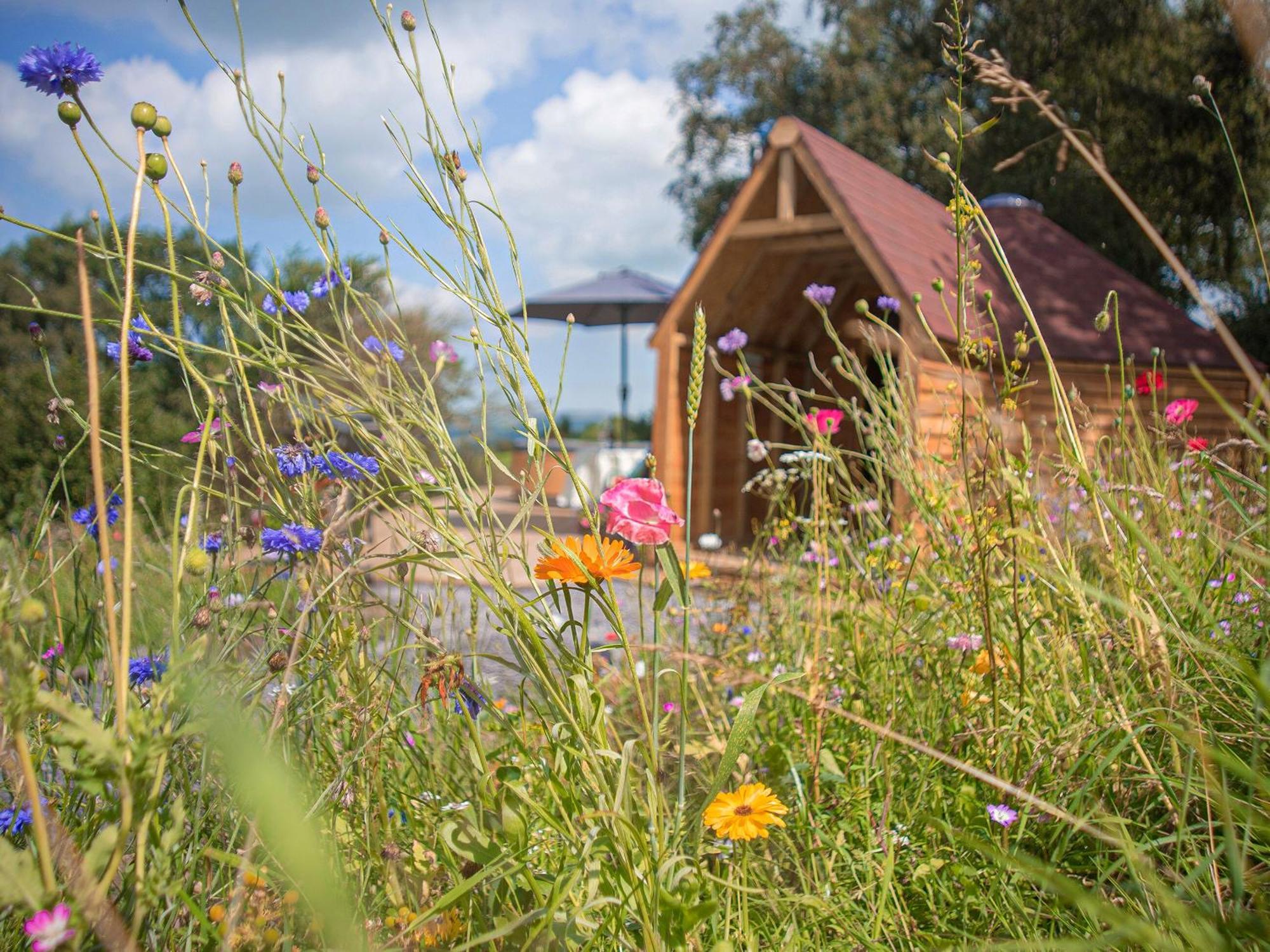 Villa Dol Y Mynydd The Mountain Meadow-Qu7521 Llangerniew Exterior foto